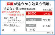 SOD比較表