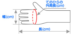 手袋のサイズ測定箇所